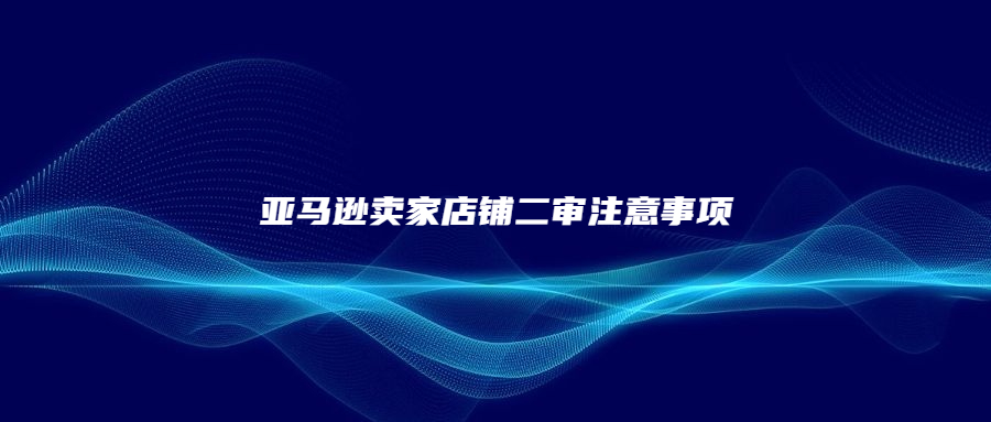 亚马逊卖家店铺二审注意事项
